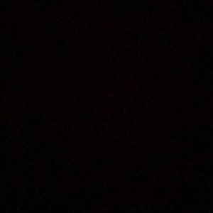 Meet your Posher, Dee